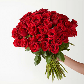 Cincuenta rosas rojas de tallo largo