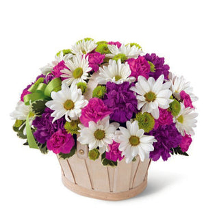 Fresh daisy and carnation basket with a green ribbon — a cheerful mix of purple, green, and white tones