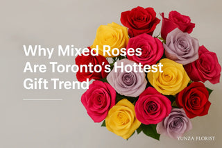 Why Mixed Roses Are Toronto’s Hottest Gift Trend