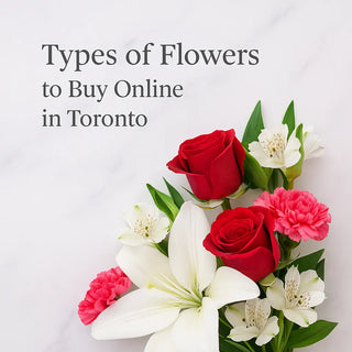 Types of Flowers to Buy Online in Toronto for Every Occasion