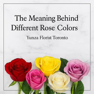 Rose Color Meanings | Buy Roses Online in Toronto – Yunza Florist
