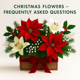 Christmas Flowers – Frequently Asked Questions