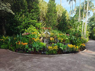 The Enchanted Orchid Garden of Singapore