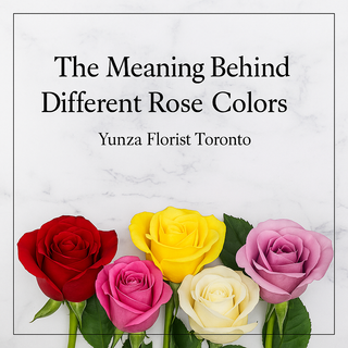 Rose Color Meanings | Buy Roses Online in Toronto – Yunza Florist