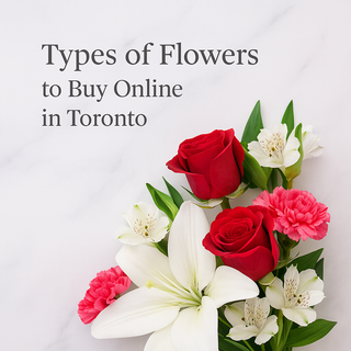 Types of Flowers to Buy Online in Toronto for Every Occasion