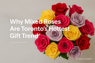 Why Mixed Roses Are Toronto’s Hottest Gift Trend