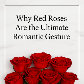 Why Red Roses Are the Ultimate Romantic Gesture