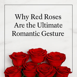 Why Red Roses Are the Ultimate Romantic Gesture