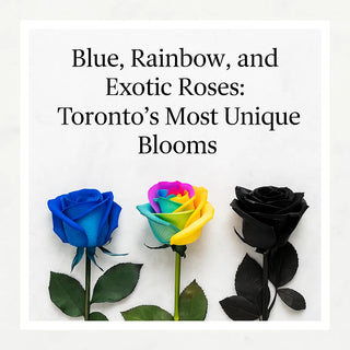 Toronto’s Most Unique Blooms