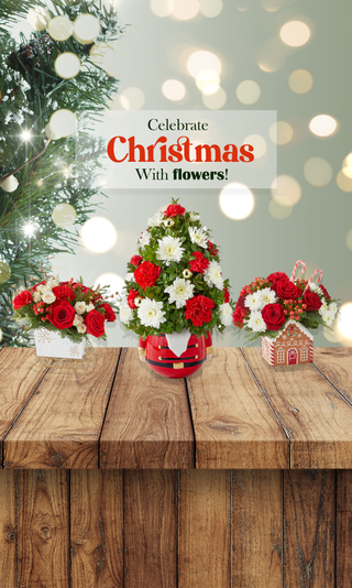 Christmas Floral Designs & Gifts 2025: Why Choose Yunza Florist