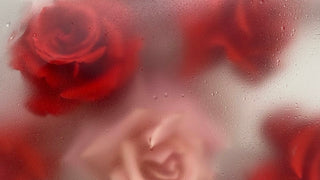 Red Flower Bouquets – Passionate Floral Arrangements Markham