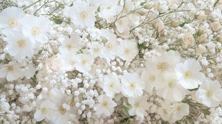 White Flowers Bouquets – Elegant Floral Arrangements Toronto