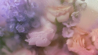 Corporate & Event Flower Subscription | Yunza Florist Toronto