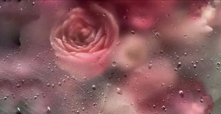 Mother's Day Flower Delivery