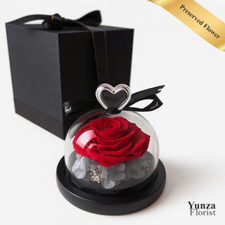 Single Preserved Red Rose inside a glass dome. Includes a luxury black box. Shop Eternal/preserved flowers at Yunza Florist Markham