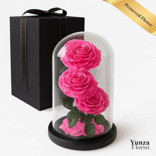Yunza Florist preserved pink roses in a glass dome on a black base, featuring three stacked pink roses and a scattering of pink petals at the bottom. Shop Eternal Flowers at Yunza Florist Toronto