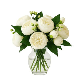 6 White Peonies with a clear vase (Fresh Cut Flowers Toronto)
