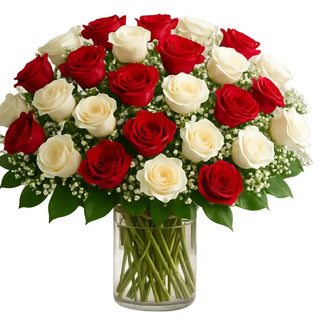 Two dozen |Red and White Roses (Yunza Florist)