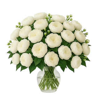 Two Dozen White Peonies with a vase