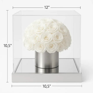 30 White roses in a shape of a mushroom. Preserved White Roses in a luxury clear acrylic case and elevated by a mirror base