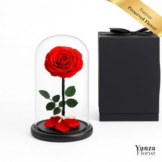 Single red preserved rose in glass dome with black base and luxury gift box by Yunza Florist Toronto