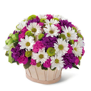 Mixed color flower basket featuring white daisies, purple carnations, and green button mums with a ribbon bow