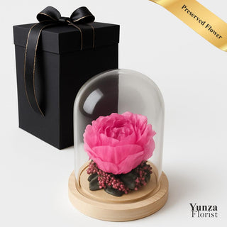 Pink preserved flower in a glass dome with a black gift box and gold ribbon. Same Day Delivery with Yunza Florist for Toronto and GTA